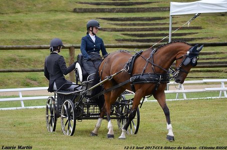2017-08 CCA Valasse Clubs, 47-0DSC_9470
