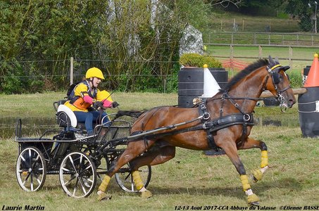 2017-08 CCA Valasse Clubs, 47-DSC_0439