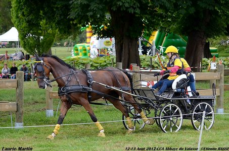 2017-08 CCA Valasse Clubs, 47-DSC_0524