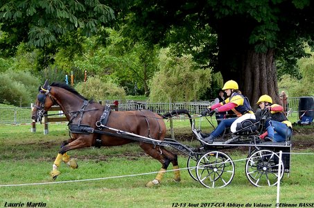 2017-08 CCA Valasse Clubs, 47-DSC_0537
