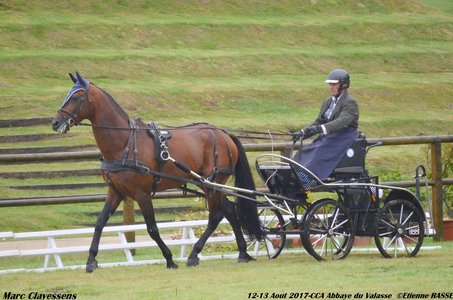 2017-08 CCA Valasse Clubs, 48-0DSC_9336