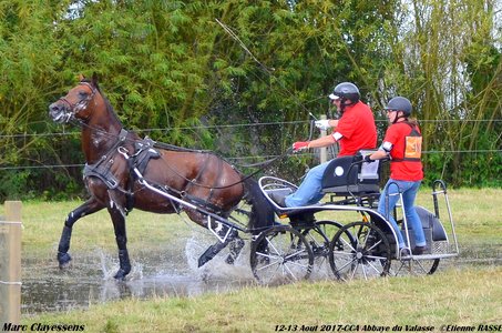 2017-08 CCA Valasse Clubs, 48-DSC_0458