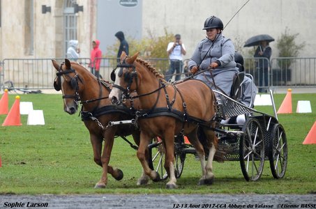 2017-08 CCA Valasse Clubs, 49-DSC_0004