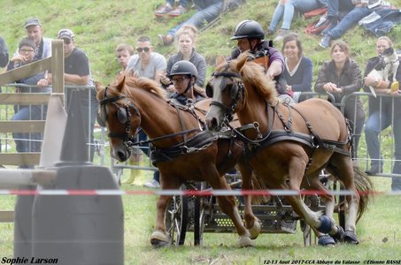 2017-08 CCA Valasse Clubs, 49-DSC_1349