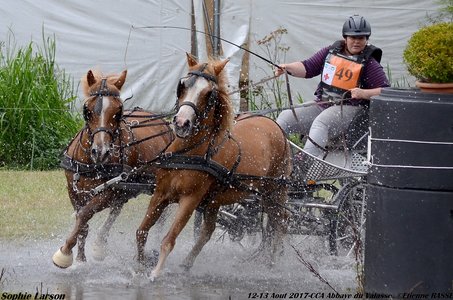 2017-08 CCA Valasse Clubs, 49-DSC_1391