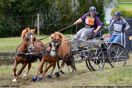 2017-08 CCA Valasse Clubs, 49-DSC_1405