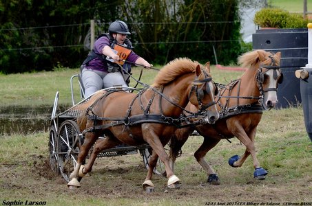 2017-08 CCA Valasse Clubs, 49-DSC_1409