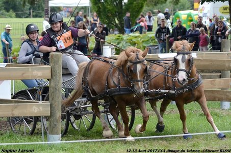 2017-08 CCA Valasse Clubs, 49-DSC_1505