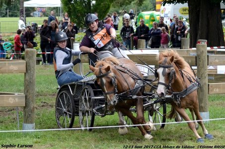 2017-08 CCA Valasse Clubs, 49-DSC_1507