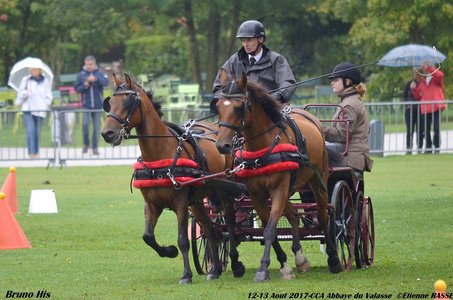 2017-08 CCA Valasse Clubs, 50-0DSC_9961