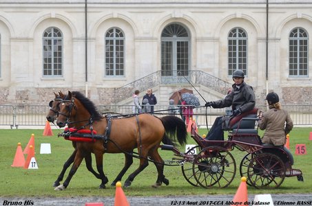 2017-08 CCA Valasse Clubs, 50-0DSC_9962