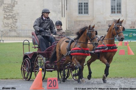 2017-08 CCA Valasse Clubs, 50-0DSC_9970