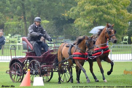 2017-08 CCA Valasse Clubs, 50-0DSC_9974