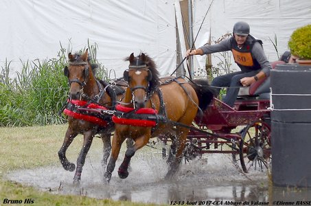 2017-08 CCA Valasse Clubs, 50-DSC_0798