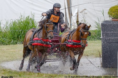 2017-08 CCA Valasse Clubs, 50-DSC_0802