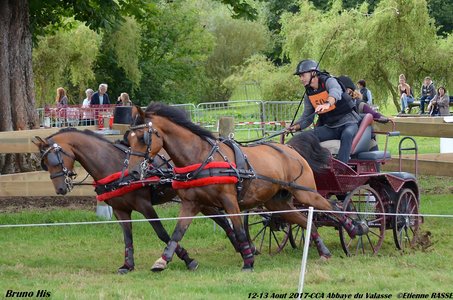 2017-08 CCA Valasse Clubs, 50-DSC_0919