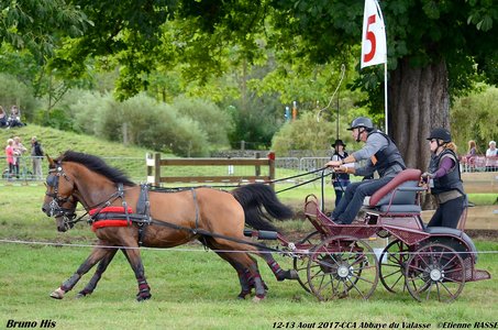 2017-08 CCA Valasse Clubs, 50-DSC_0923