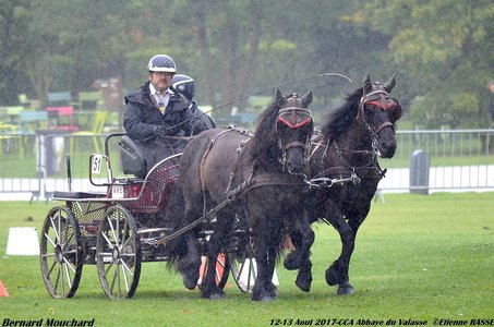 2017-08 CCA Valasse Clubs, 51-0DSC_9944