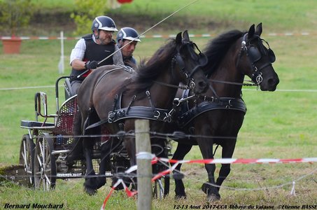 2017-08 CCA Valasse Clubs, 51-DSC_0784