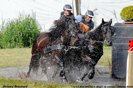 2017-08 CCA Valasse Clubs, 51-DSC_0848