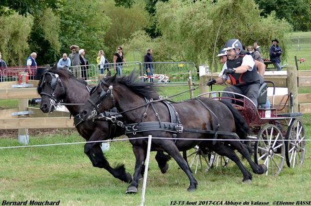 2017-08 CCA Valasse Clubs, 51-DSC_0972