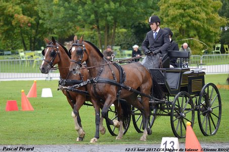 2017-08 CCA Valasse Clubs, 52-0DSC_9905