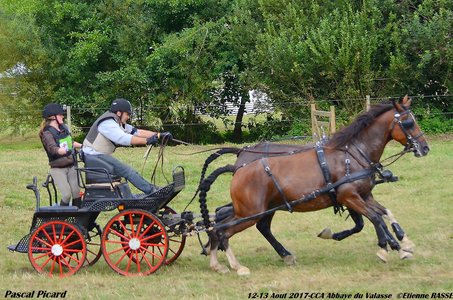 2017-08 CCA Valasse Clubs, 52-DSC_0707