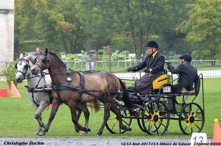 2017-08 CCA Valasse Clubs, 53-0DSC_9879