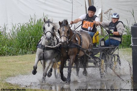 2017-08 CCA Valasse Clubs, 53-DSC_0750