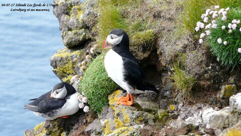 Voyage caming car islande , P1400550