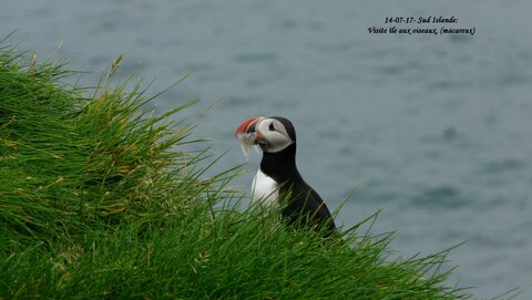 Voyage caming car islande , P1410304