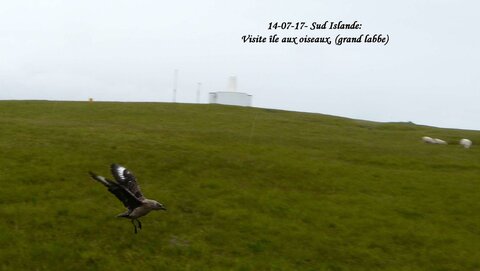 Voyage caming car islande , P1410326