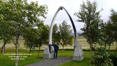 Voyage caming car islande , P1400463