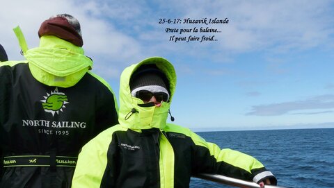 Voyage caming car islande , P1390777