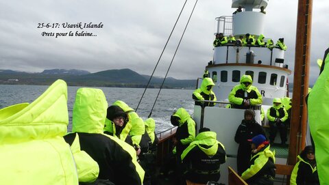 Voyage caming car islande , P1390778