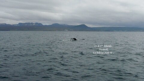 Voyage caming car islande , P1390815