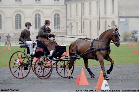 2017-08 CCA Valasse Chevaux et Traits, 14-0DSC_9686