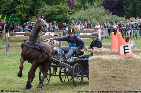 2017-08 CCA Valasse Chevaux et Traits, 14-DSC_1416