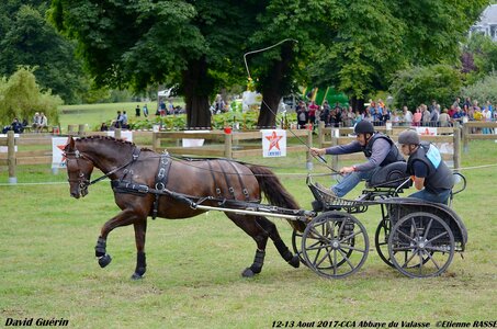 2017-08 CCA Valasse Chevaux et Traits, 14-DSC_1427