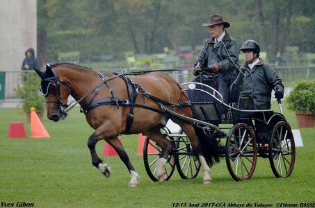 2017-08 CCA Valasse Chevaux et Traits, 15-0DSC_9692