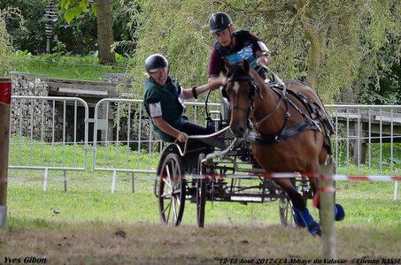 2017-08 CCA Valasse Chevaux et Traits, 15-DSC_1234