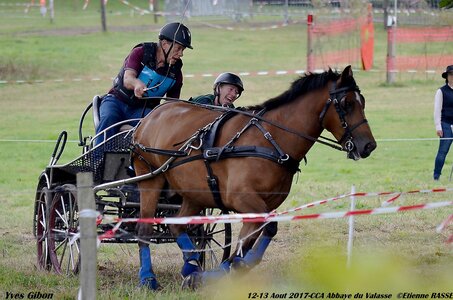 2017-08 CCA Valasse Chevaux et Traits, 15-DSC_1235