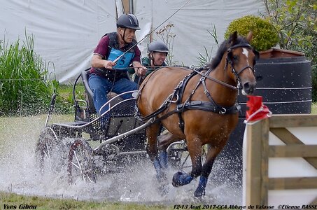 2017-08 CCA Valasse Chevaux et Traits, 15-DSC_1264