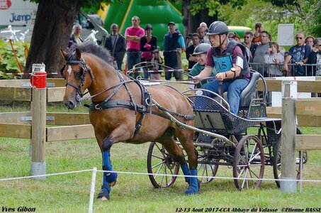 2017-08 CCA Valasse Chevaux et Traits, 15-DSC_1294