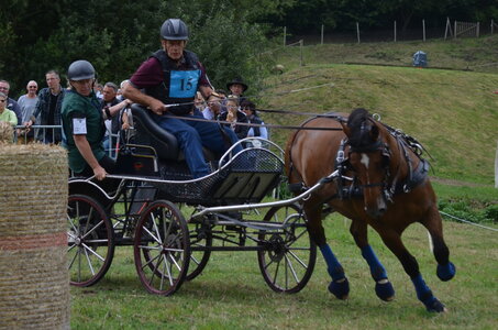 2017-08 CCA Valasse Chevaux et Traits, 15-DSC_1359