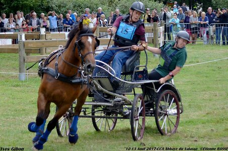 2017-08 CCA Valasse Chevaux et Traits, 15-DSC_1365