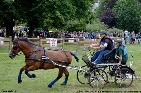 2017-08 CCA Valasse Chevaux et Traits, 15-DSC_1375