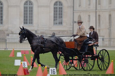 2017-08 CCA Valasse Chevaux et Traits, 16-0DSC_9711