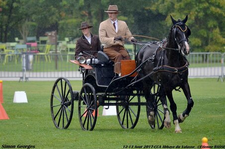 2017-08 CCA Valasse Chevaux et Traits, 16-0DSC_9717