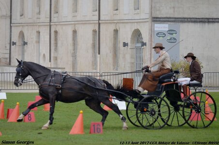 2017-08 CCA Valasse Chevaux et Traits, 16-0DSC_9719